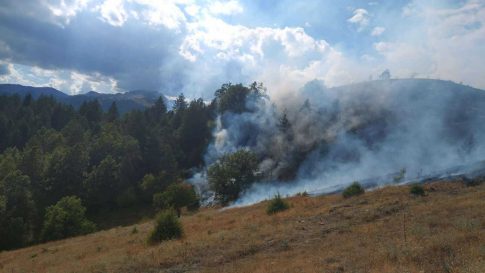 Εκδήλωση για την Παγκόσμια Ημέρα<br>Ατόμων με Αναπηρία στον Πύργο