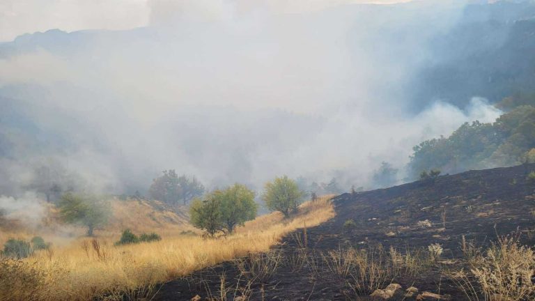 Υπό μερικό έλεγχο η πυρκαγιά στα Γρεβενά – Παραμένουν ισχυρές δυνάμεις στην περιοχή