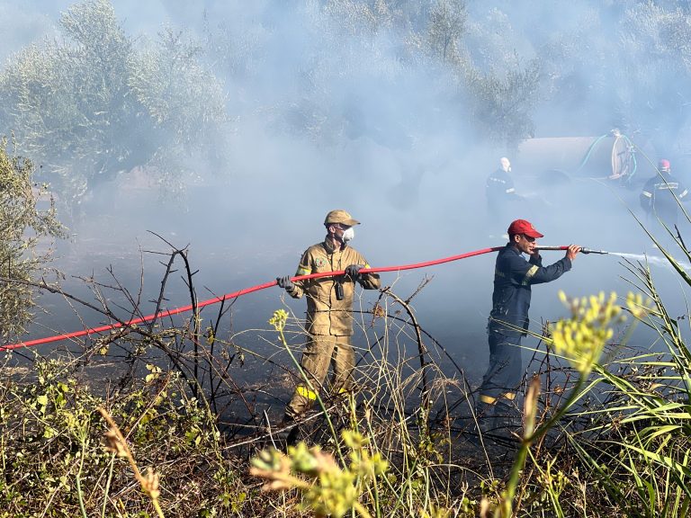 Μεσσηνία: Συναγερμός για φωτιά στο Μελιγαλά
