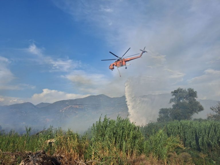 Καλαμάτα: 25 στρέμματα αγροτοδασική έκταση έκαψε η φωτιά στο Αριοχώρι