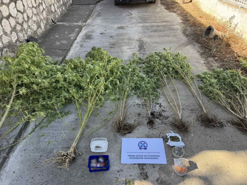Θεσσαλονίκη: Καλλιεργούσε χασίς σε δύσβατη περιοχή-Τον “πρόδωσε” έρευνα στο σπίτι του