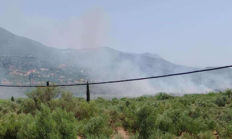 Καλαμάτα: Συναγερμός για φωτιά στην Ασπροπουλιά