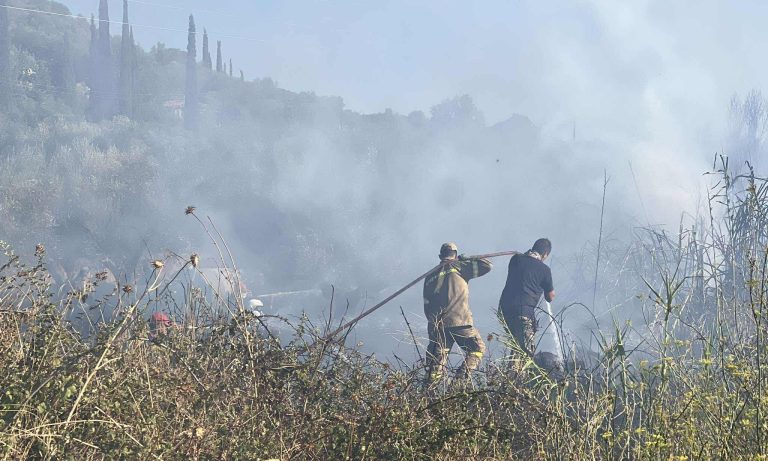Φωτιά τώρα στην Μεσσηνία: Συναγερμός σε Αβραμιού και Καλαμάτα – Ισχυροί άνεμοι στην περιοχή