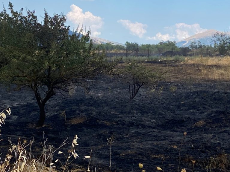 Έργα πρόληψης και αποκατάστασης του πυρόπληκτου Φενεού Κορινθίας