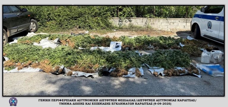 Εντοπίστηκε φυτεία με εκατοντάδες δενδρύλλια κάνναβης σε δύσβατη περιοχή της Καρδίτσας