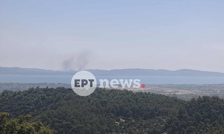 Φωτιά στη Βρίσα Λέσβου