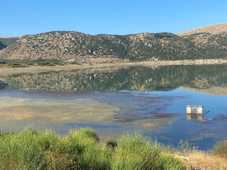 Αρκαδία: Να κηρυχθεί σε κατάσταση έκτακτης ανάγκης η περιοχή της λίμνης Τάκας