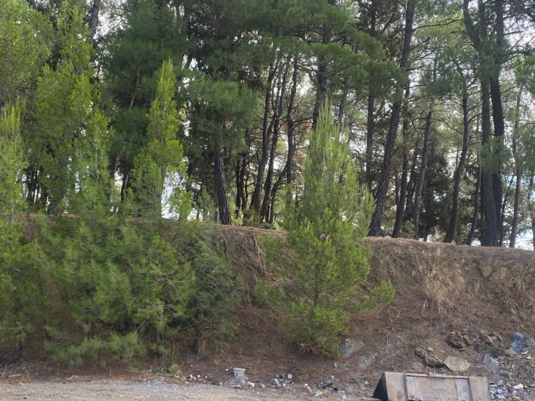 Πλησιάζει το έργο της ανάπλασης του λόφου Μπιτσάνη στην Τρίπολη