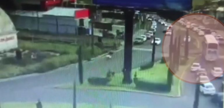 Μεξικό: Τρένο συγκρούστηκε με διώροφο λεωφορείο – 10 νεκροί και 61 τραυματίες (βίντεο)