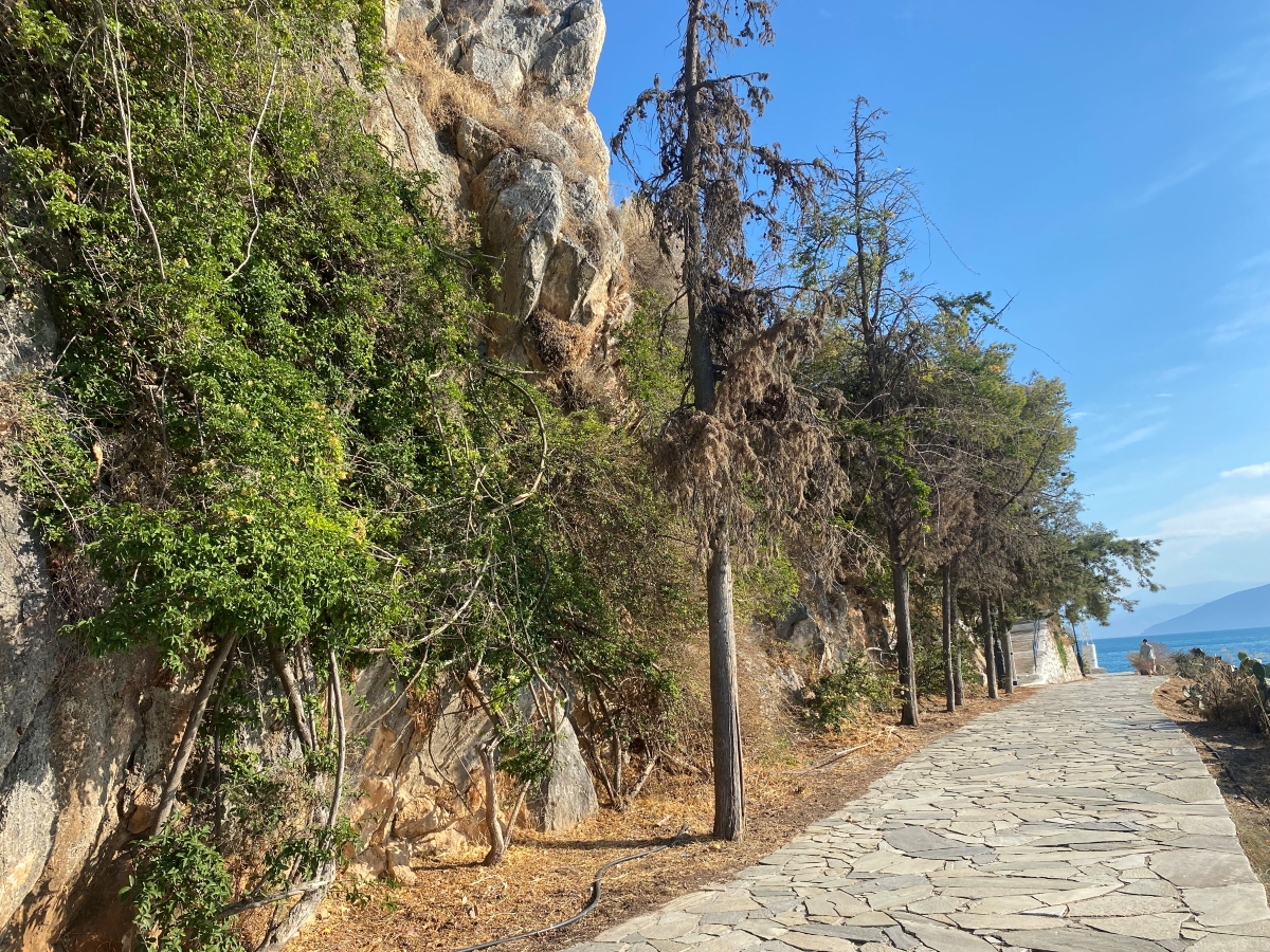 Εγκρίθηκαν τα τεύχη δημοπράτησης για το μεγάλο έργο του Μονοπατιού της Αρβανιτιάς Ναυπλίου