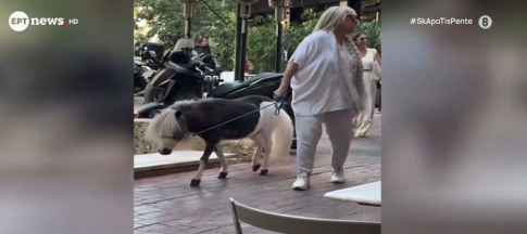 Πήγε βόλτα στο κέντρο της Αθήνας με το πόνυ της (video)