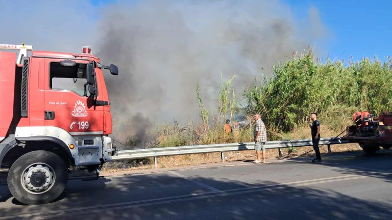 Πυρκαγιά στην νότια είσοδο του Πύργου – Άμεση επέμβαση της Πυροσβεστικής