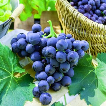 Φούφας Εορδαίας<strong> – </strong>Το χωριό των εθελοντών αιμοδοτών