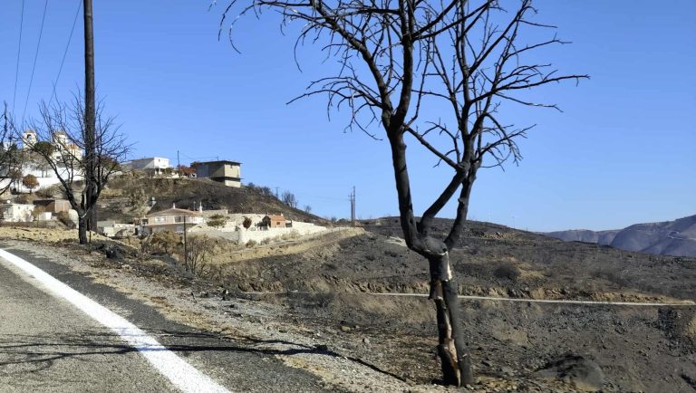 “Νέα Δυναμική”: Ζητά περισσότερα κονδύλια από την Περιφέρεια Β. Αιγαίου για την πυρόπληκτη Χίο