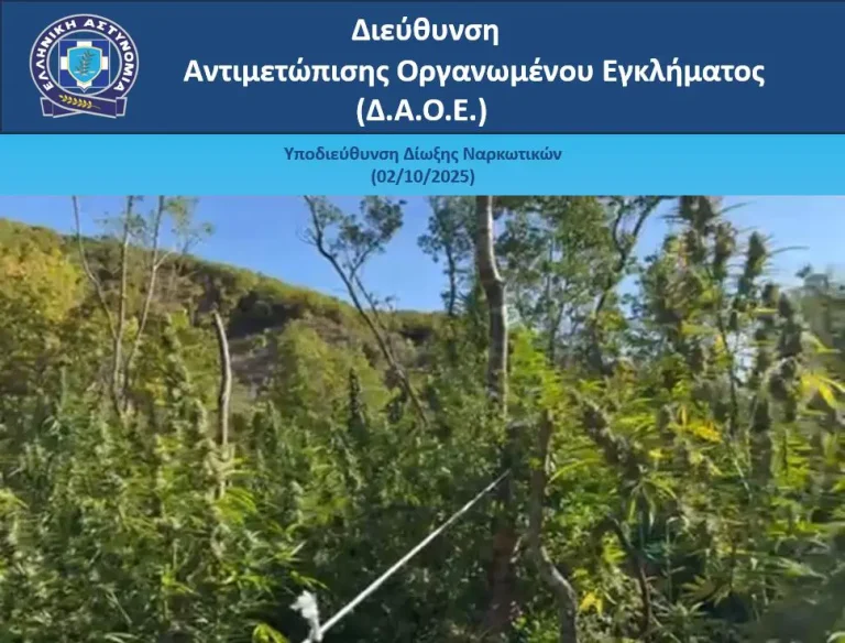 Εντοπίσθηκαν 1.650 δενδρύλλια κάνναβης σε δασώδη περιοχή των Ιωαννίνων