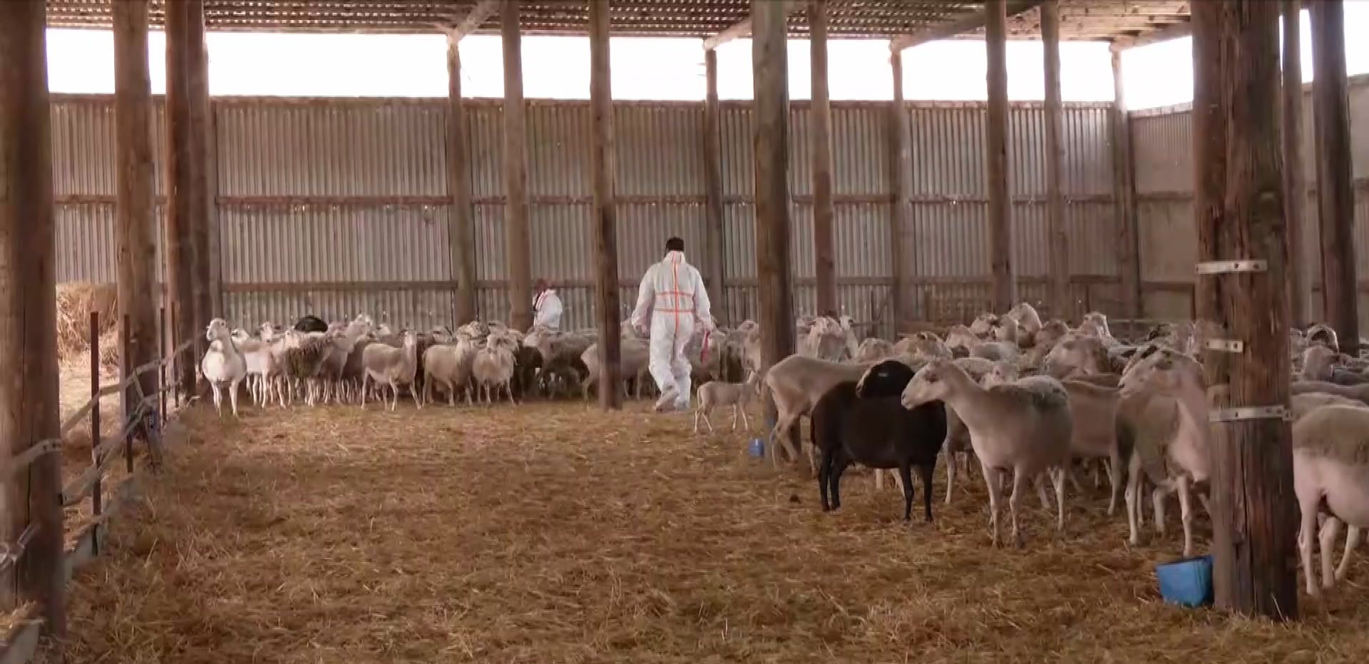 06-16-00-eylogia-antithetoi-lockdown_2