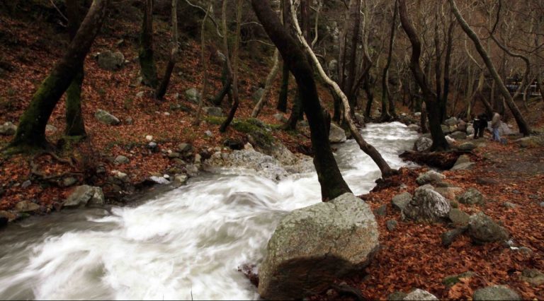 North Evia Pass 2025: Μέχρι αύριο οι αιτήσεις για την κάρτα των 150 ευρώ