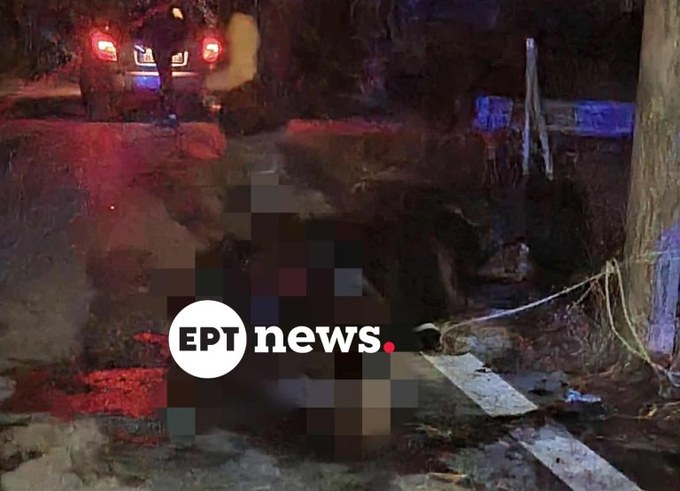 Λέσβος: ΙΧ συγκρούστηκε με ανεπιτήρητο άλογο στην Πέτρα – Νεκρό το ζώο – “Άγιο” είχε η οδηγός