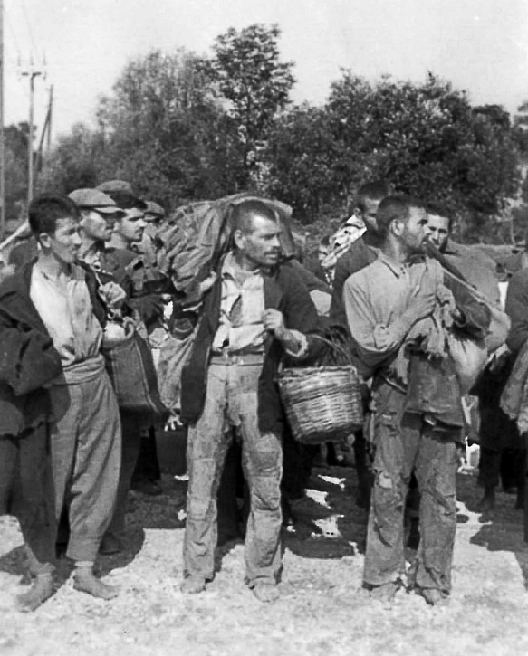 Βόλος: Μια άγνωστη πτυχή της τοπικής και ευρωπαϊκής ιστορίας του Β. Παγκοσμίου πολέμου στο Μουσείο της πόλης