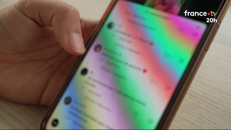 Γαλλία: Αρκούν οι πόροι της αστυνομίας και της δικαιοσύνης για την καταπολέμηση του διαδικτυακού εκφοβισμού;