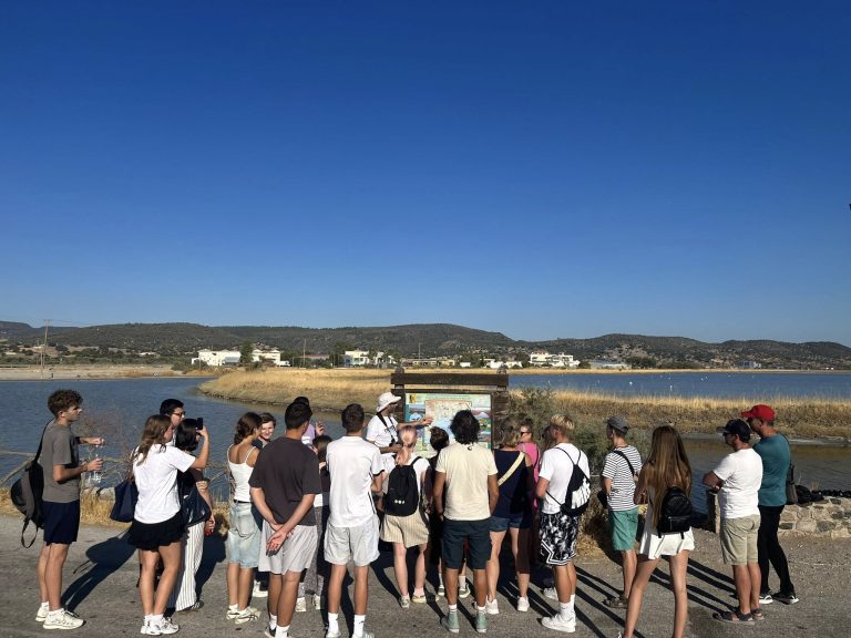 To Γεωπάρκο και το Απολιθωμένο Δάσος Λέσβου προορισμός για ευρωπαίους μαθητές
