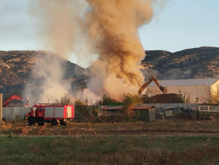 Φωτιά σε εργοστάσιο πέλλετ στις Σέρρες – Ισχυρή κινητοποίηση της Πυροσβεστικής