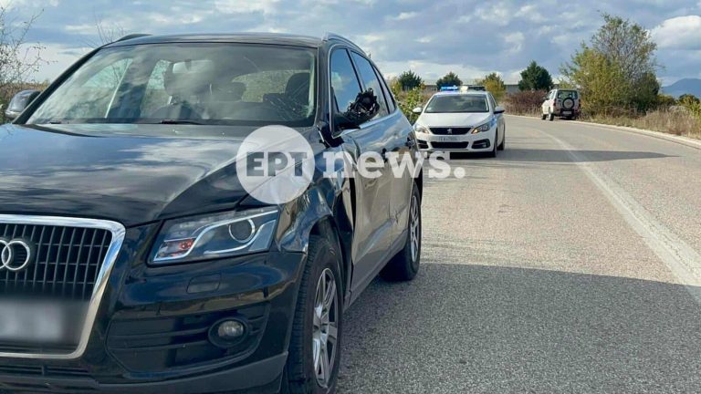 Άργος Ορεστικό: ΙΧ συγκρούστηκε με ζαρκάδι (φωτογραφίες)