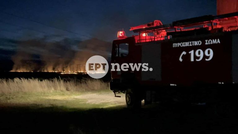 Πυρκαγιά έξω από το Άργος Ορεστικό, κοντά στο πεδίο βολής