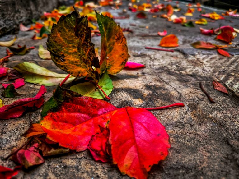 Καιρός: Αίθριος τις επόμενες ημέρες – Μικρή επιδείνωση το Σάββατο στην Πελοπόννησο