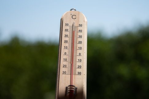 Δυναμικό «παρών» της Περιφέρειας Θεσσαλίας στην έκθεση οίνου στο Λονδίνο
