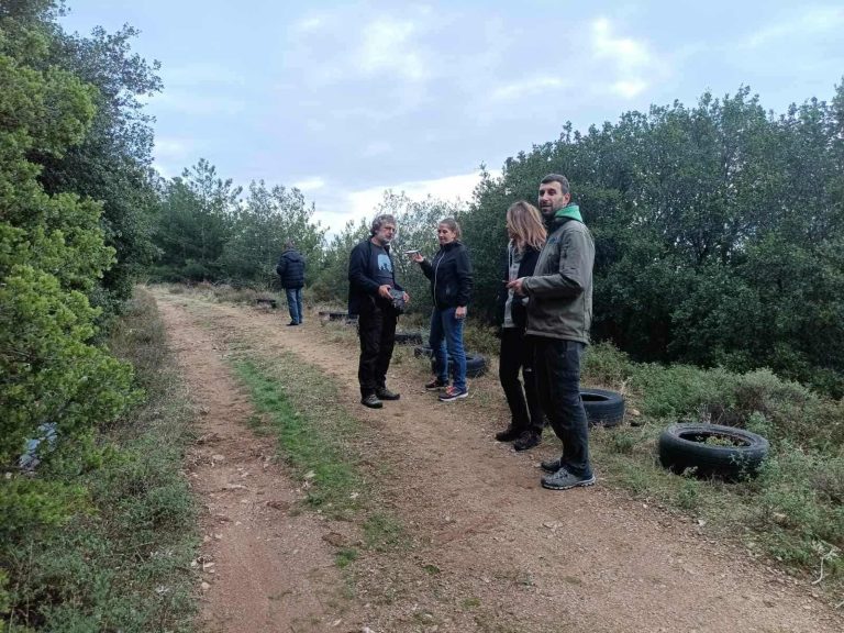 Δήμος Αγιάς: Κινητοποίηση φορέων μετά την εμφάνιση αρκούδας στον Κίσσαβο