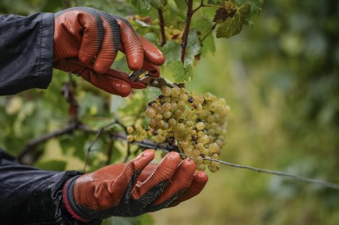 Η Τεχνητή Νοημοσύνη στο 15<sup>ο</sup> Διεθνές Φεστιβάλ Κινηματογράφου Λάρισας