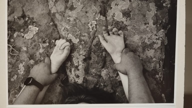 Χρυσοχοΐδης από Αλεξανδρούπολη: Αποφασισμένοι να καταπολεμήσουμε τη βία σε όλες τις μορφές της – 20.000 τα περιστατικά κάθε χρόνο