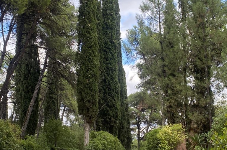 Στις 2 Νοεμβρίου ο εορτή της γης στον Άγιο Πέτρο της Κυνουρίας