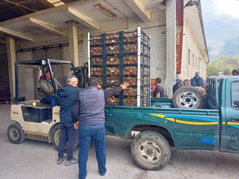 Ροδάκινα μοίρασε ο δήμος Σπάρτης σε δημότες, δομές, φορείς και ιδρύματα