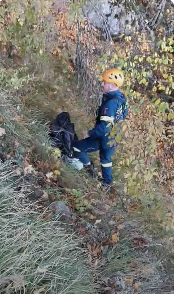 Εορδαία: Πυροσβέστες διέσωσαν κυνηγετικούς σκύλους