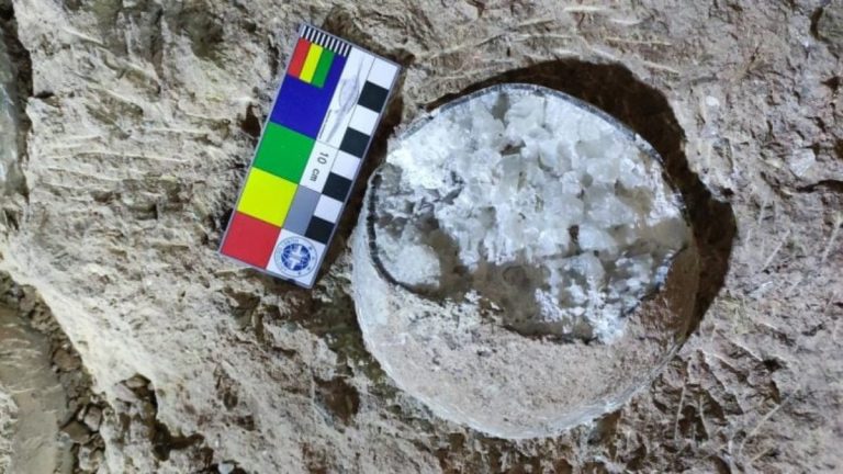 Πρωτοποριακή μέθοδος επιτρέπει για πρώτη φορά την άμεση χρονολόγηση αυγών δεινοσαύρων