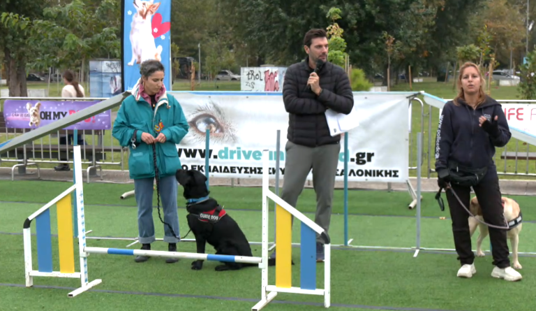 Φεστιβάλ κατοικιδίων «Oh My Dog Thessaloniki»: Αφιερωμένο στους τετράποδους φίλους του ανθρώπου