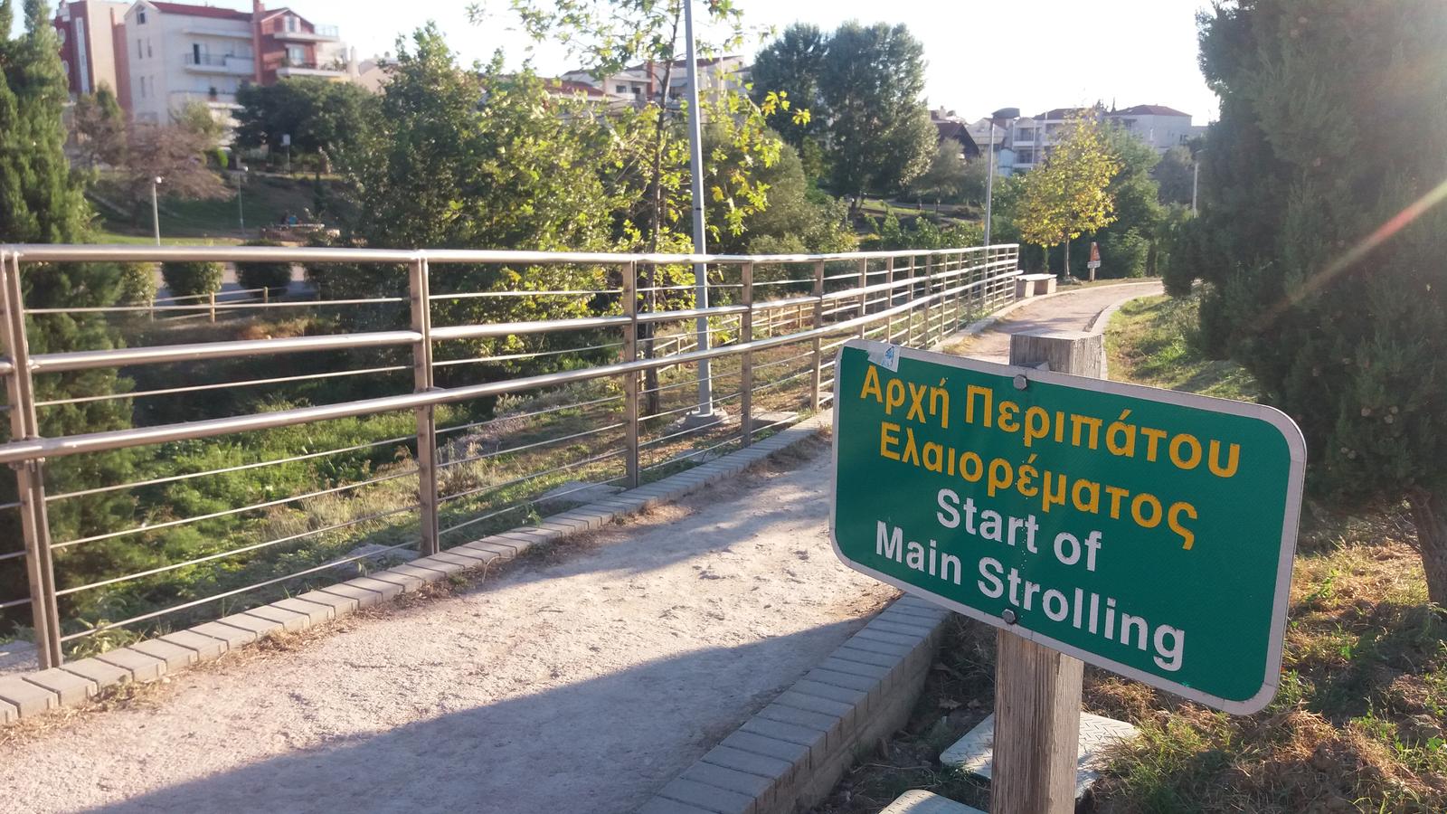 Θεσσαλονίκη: Αγέλη αδέσποτων σκύλων επιτίθεται σε περαστικούς