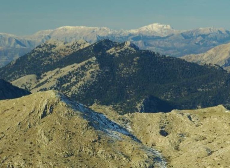 Ορειβατική εξόρμηση στον Ολίγυρτο με τον ΕΟΣ  Σπάρτης