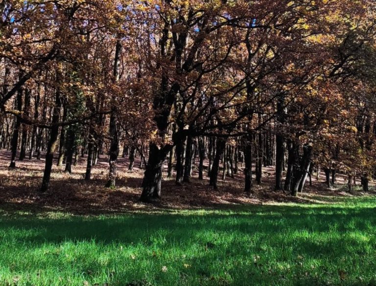 Ο ΕΟΣ Τρίπολης στο φαράγγι των Κενταύρων