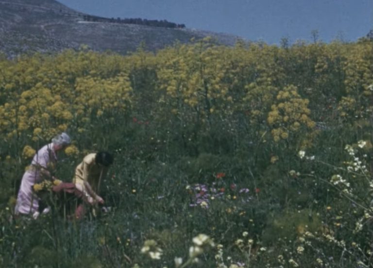 Ο Θεόδωρος Παναγόπουλος στους πέντε φιναλίστ για το βραβείο “European Short Film – Prix Vimeo”