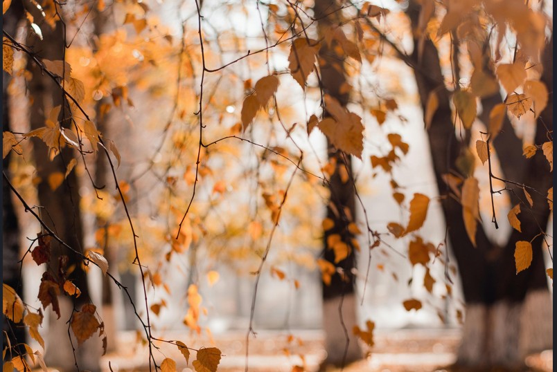Αίθριος ο καιρός με λίγες νεφώσεις –  Ασθενείς οι άνεμοι