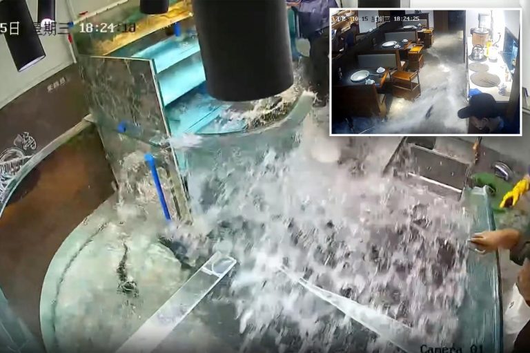 Κίνα: Εστιατόριο πλημμύρισε με ψάρια μετά την έκρηξη ενυδρείου (βίντεο)