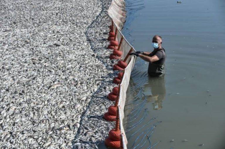 Σε εξέλιξη οι αιτήσεις για οικονομική ενίσχυση επιχειρήσεων που επλήγησαν από τα νεκρά ψάρια