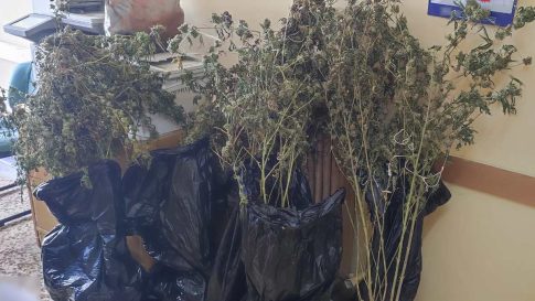 Λέσβος: Χριστουγεννιάτικες γεύσεις από τον Μεσότοπο