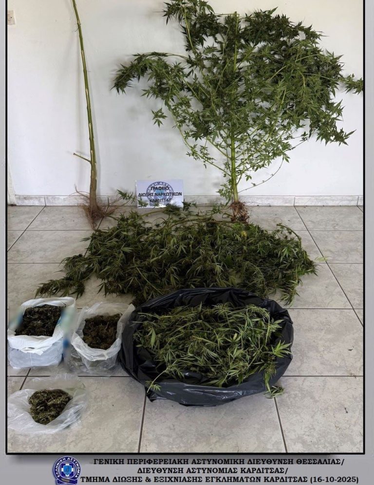 Συνελήφθη άνδρας στην ευρύτερη περιοχή του Παλαμά Καρδίτσας για 496 γραμμάρια κάνναβης
