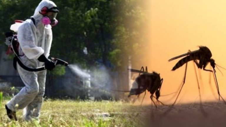 Εντατικοί ψεκασμοί λόγω κουνουπιών στον δήμο Ανδρίτσαινας – Κρεστένων