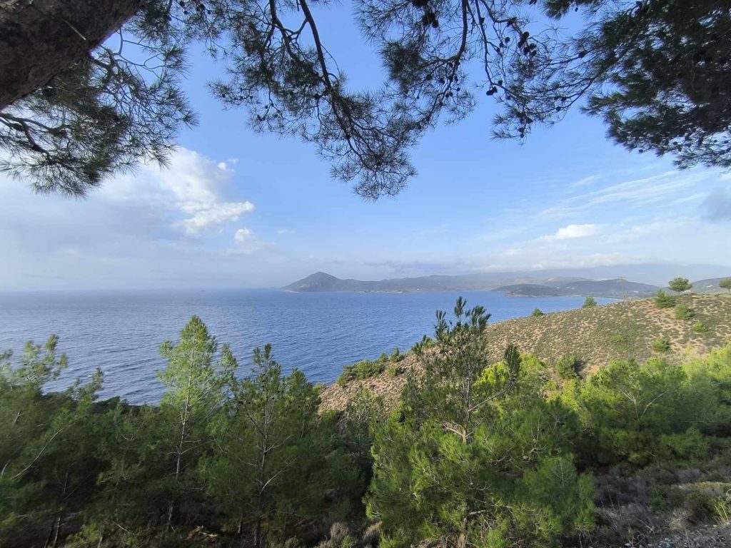 Ναυάγιο με 4 νεκρούς μετανάστες στη Λέσβο – Συνεχίζονται οι έρευνες για τον εντοπισμό τυχόν αγνοουμένων