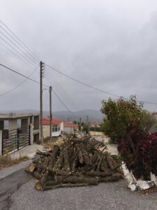 Σέρβια: Διπλάσια ποσότητα καυσόξυλων στους κατοίκους του Μεταξά